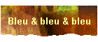 Bleu & bleu & bleu