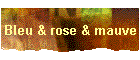 Bleu & rose & mauve