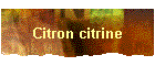 Citron citrine