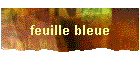 feuille bleue