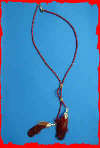 Plume_rouge.jpg (114041 octets)